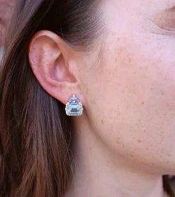 Blue Topaz & Tanzanite Earrings
