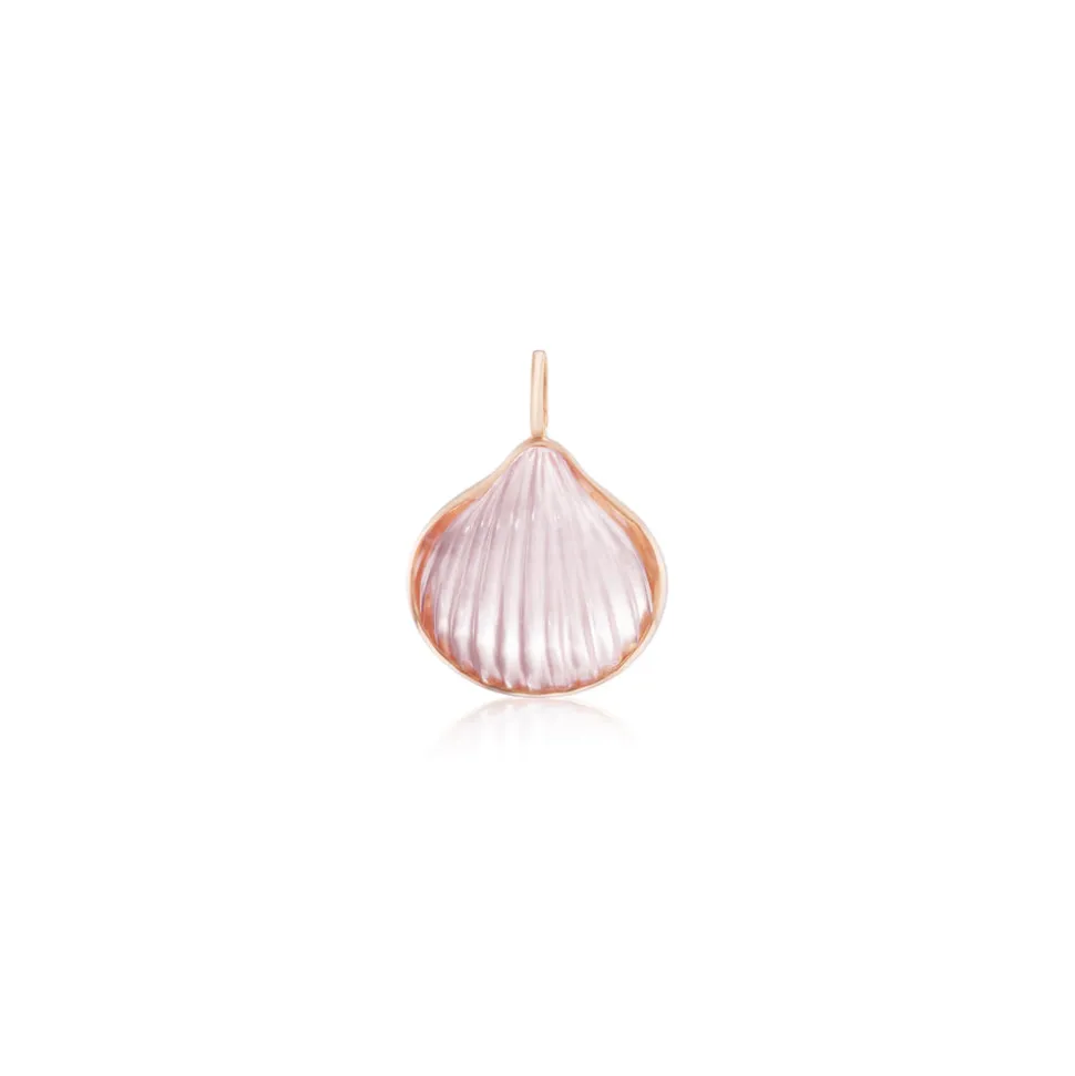 Classic Anadara Rose Quartz Shell Pendant
