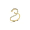 Cosmic Ring