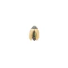 Mini Gold Fly Wing Scarab Stud