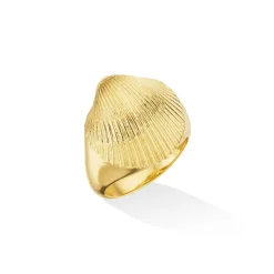 Shell Pinky Ring