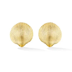 Small Gold Shell Studs