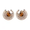 Tiger's Eye Chakra Round Earrings